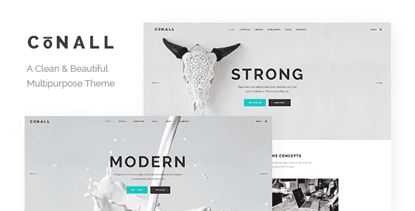 Conall – Clean Multipurpose Theme WordPress