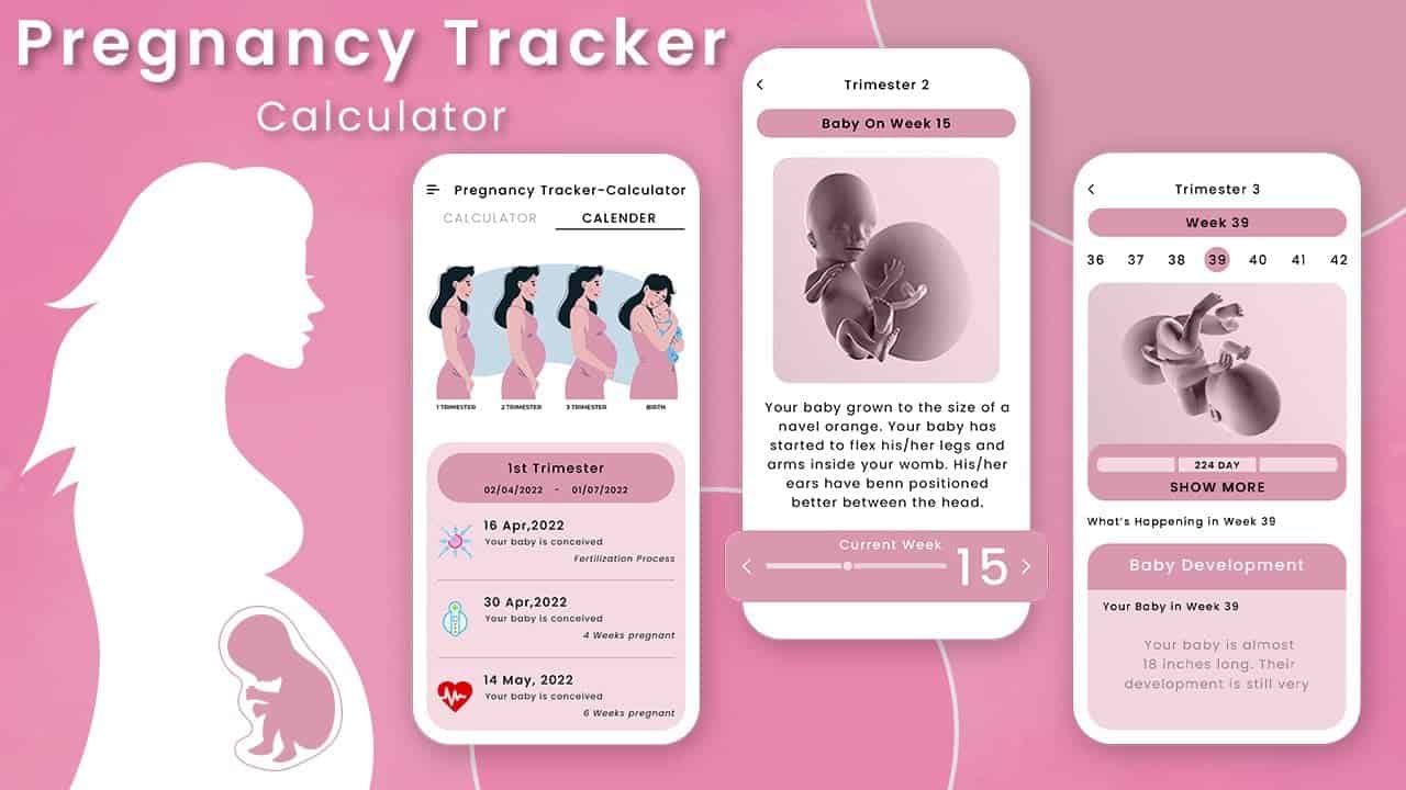 Pregnancy Due Date Calculator – Android App Source