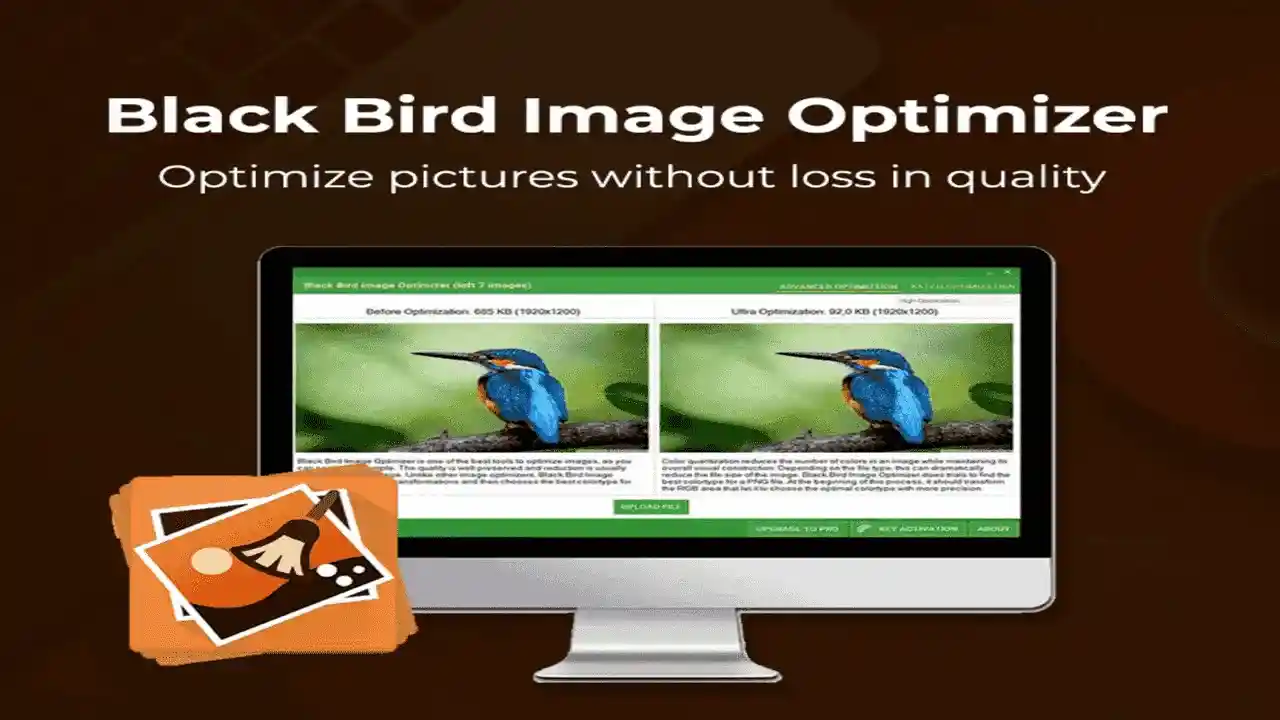 Black Bird Image Optimizer Pro Windows