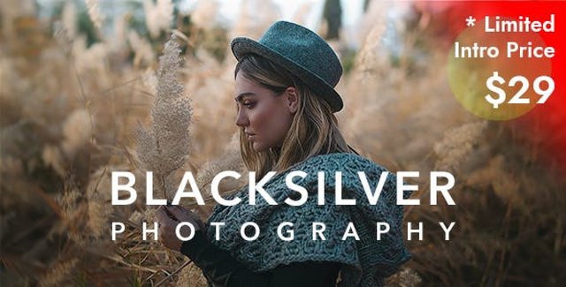 Blacksilver – Photography Theme for WordPress