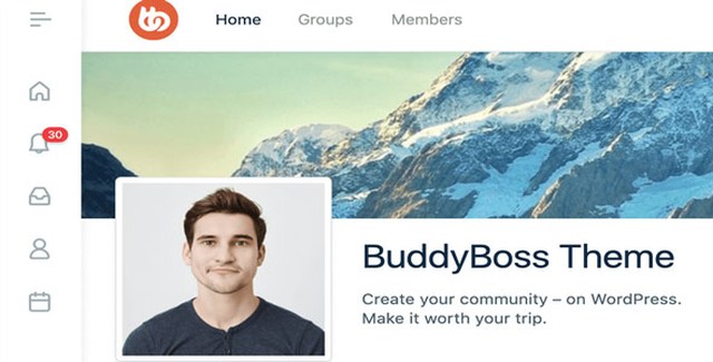 BuddyBoss Theme + Addon Plataforma Pro WordPress