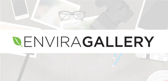 Envira Gallery + Addons Premium WordPress Plugin