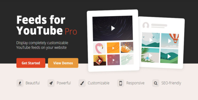 Feeds for YouTube Pro – Developer By Smash Balloon WordPress