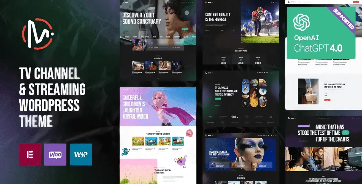 MediaFlex – TV Channel & Streaming WordPress Theme