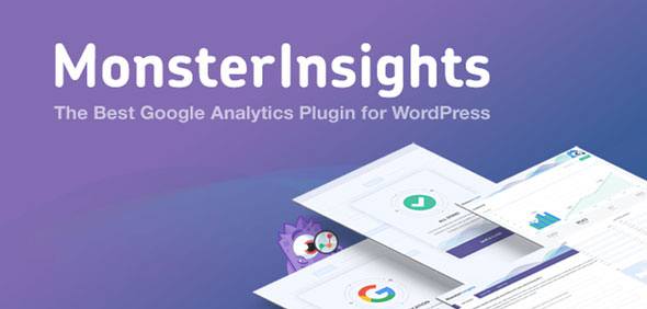 MonsterInsights Pro – Google Analytics Premium WordPress