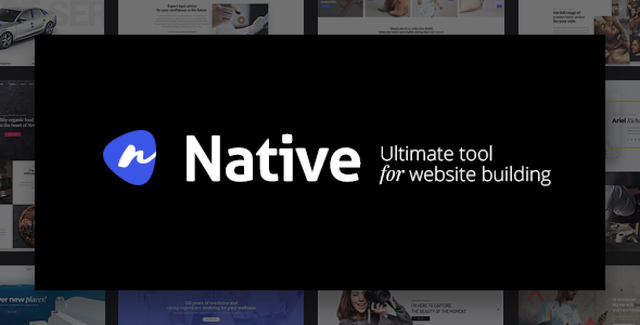 Native – Powerful Startup Development Tool WordPress