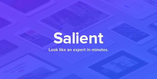 Salient – Responsive Multi-Purpose Theme WordPress