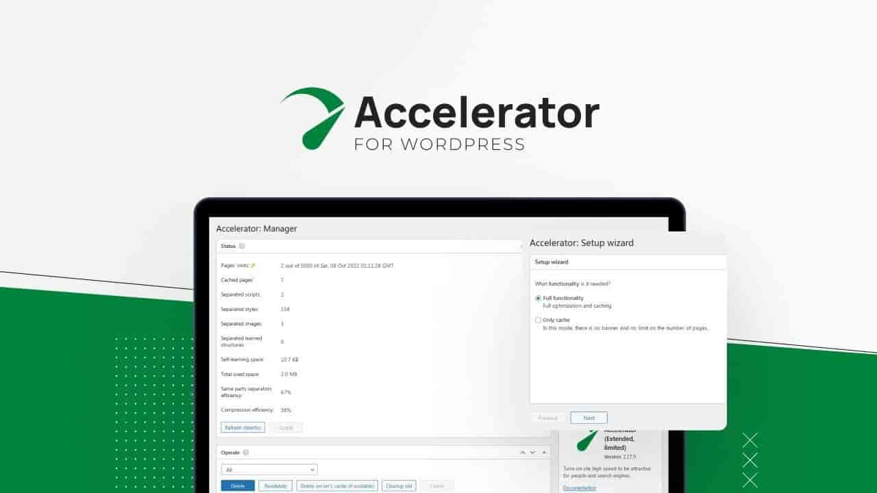 Seraphinite Accelerator Extended WordPress