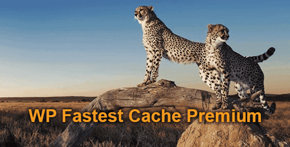 WP Fastest Cache Premium Plugin WordPress