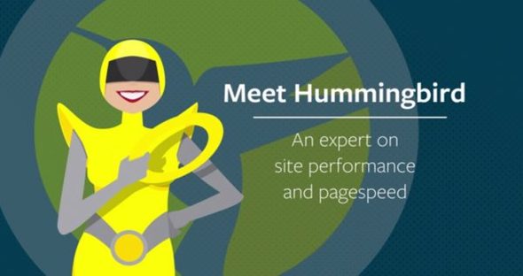 WPMU DEV Hummingbird Pro WordPress Plugin