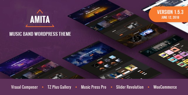 AMITA – Music Band WordPress Theme