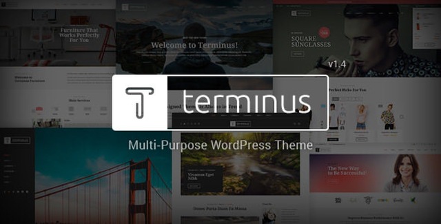 Terminus – Responsive Multi-Purpose WordPress Theme