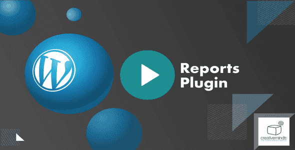 WordPress Reports Plugin by CreativeMinds