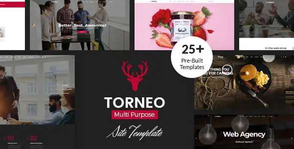 Torneo – Creative Agency Multi-purpose HTML Template